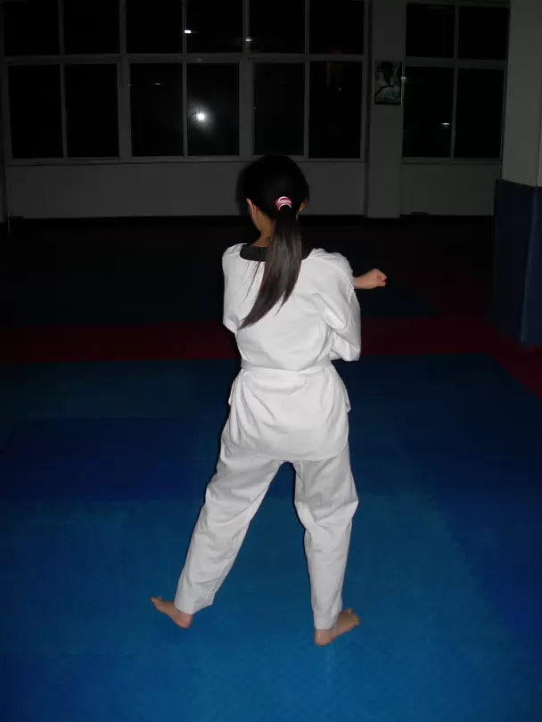 Taekwondo-002