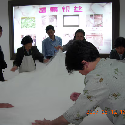 YellowMountain-059 Old ladies are making silk blankets. My mom bought one.