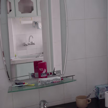 Apt_2005-009 A seperate wash basin.