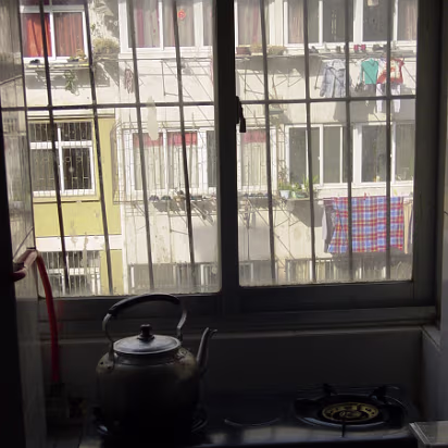 Apt_2005-010 Pie snatchers will be detered by this.