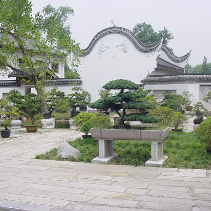 Caishi_Aug_2004-003 Inside the same garden.