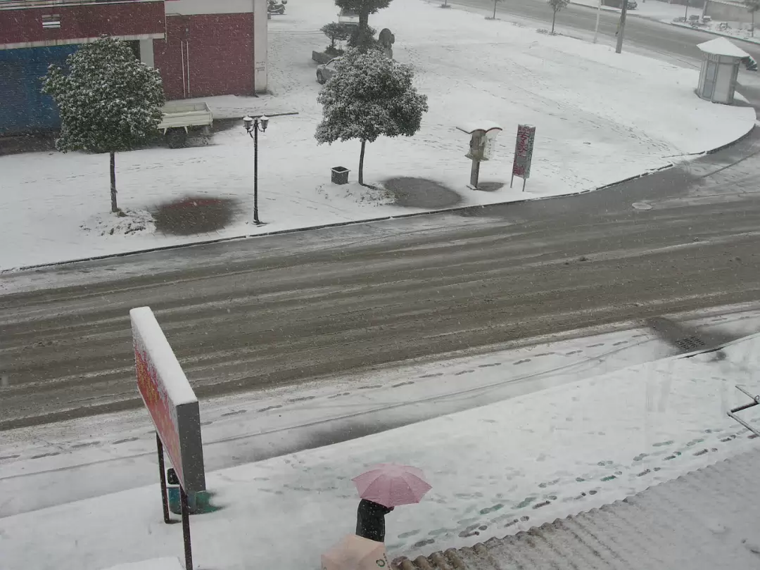 Snow_2006-003