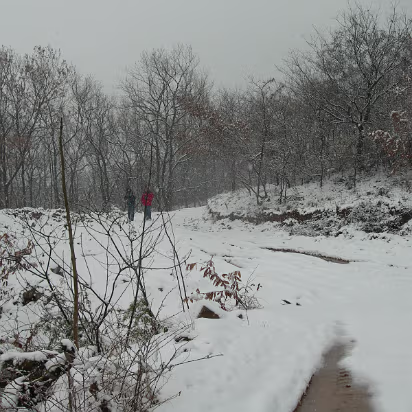 Snow_2006-007 What's that in the distance? A Sasquatch?