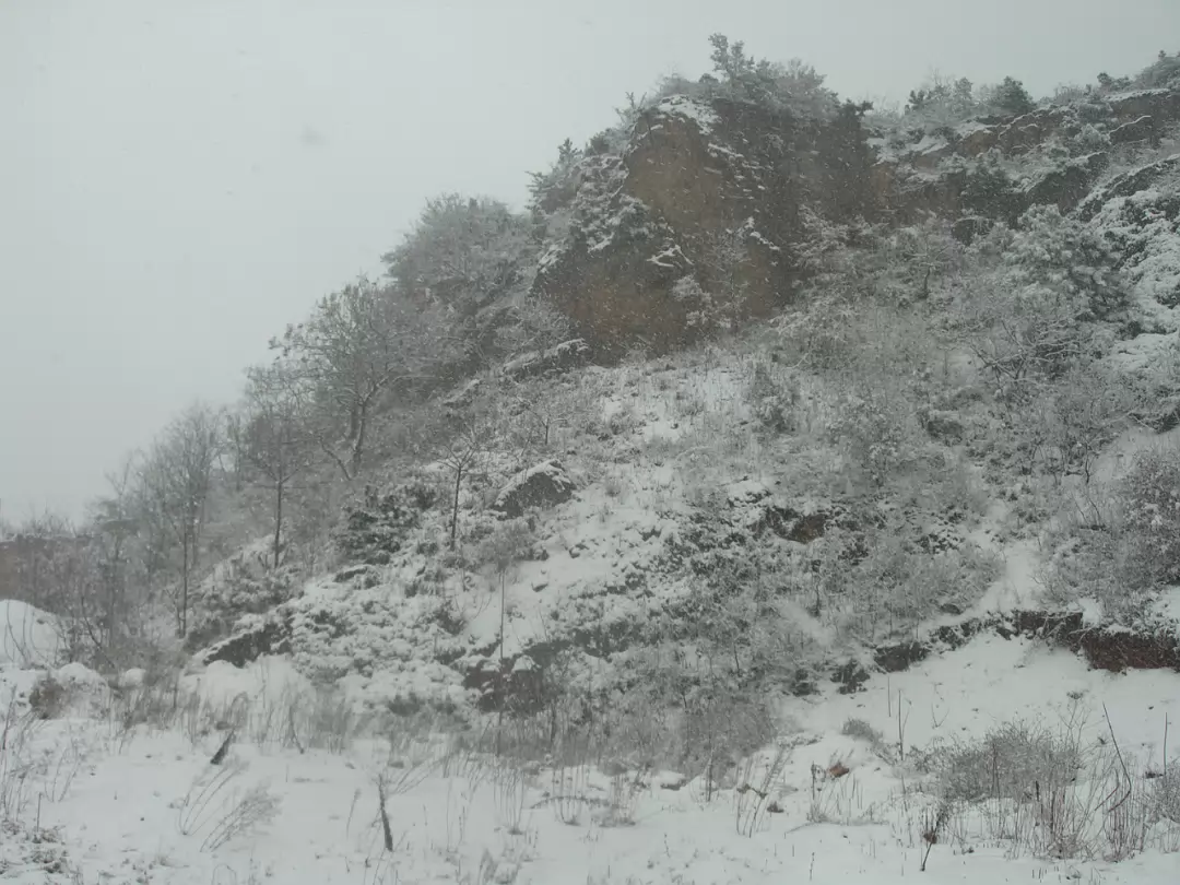 Snow_2006-010