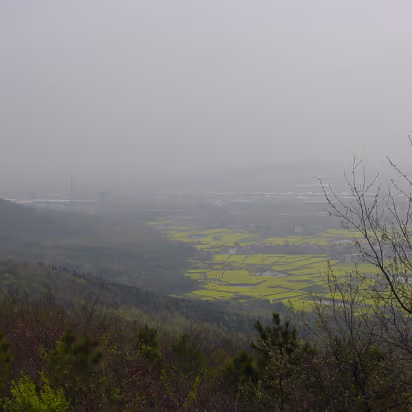 Temple_Mar_2004-019 One other look.