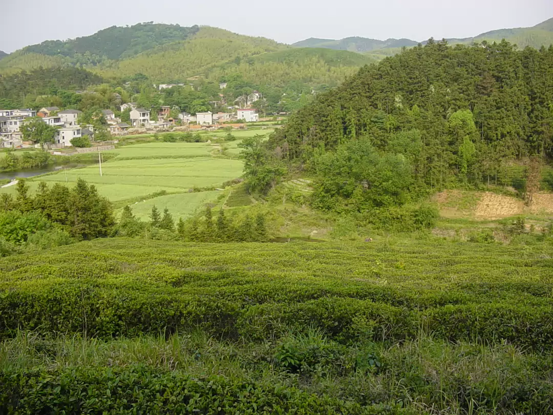 Putang_May_2005-009