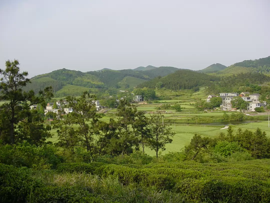 Putang_May_2005-011