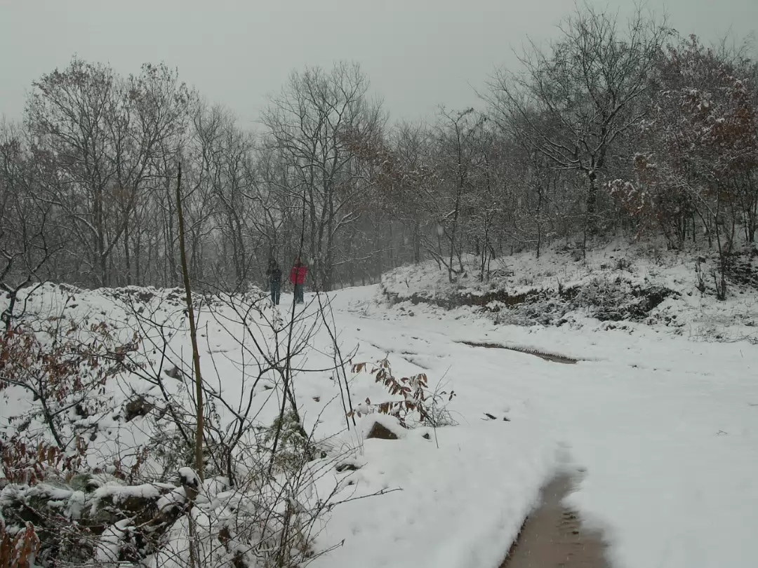 Snow_2006-007