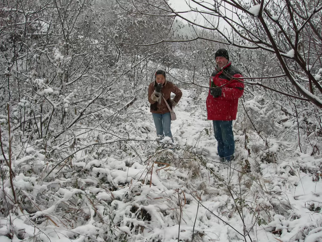 Snow_2006-008