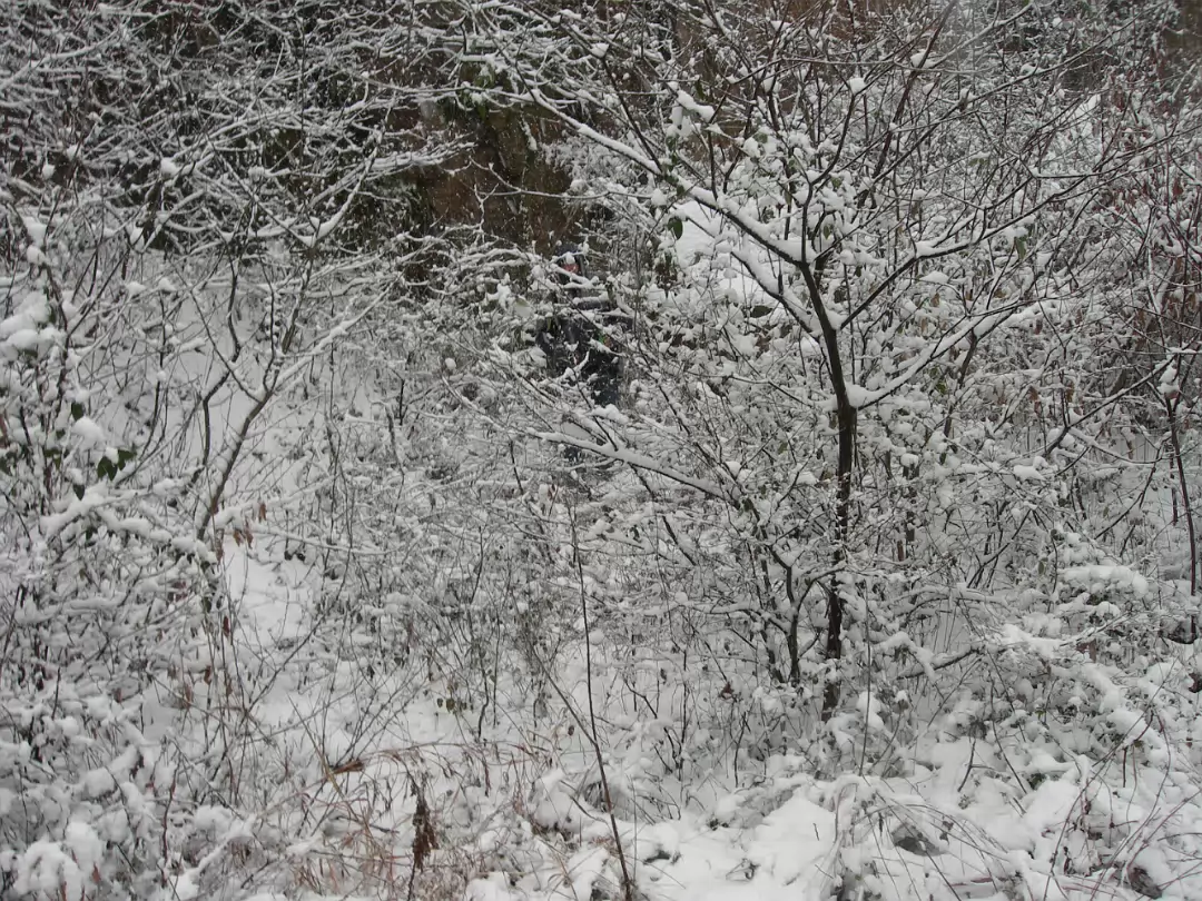 Snow_2006-009