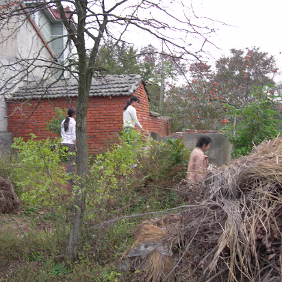 Putang_Outing_Nov_05-015 Off to take some fruit next to the pig farm, nobody got caught this time.