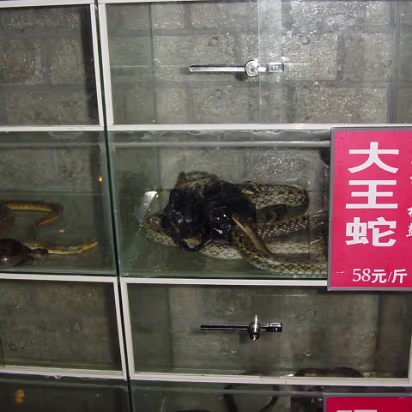 Restaurant_Menu The menu in some restaurants is the live item with a price. This is the snake available at $7 a pound!