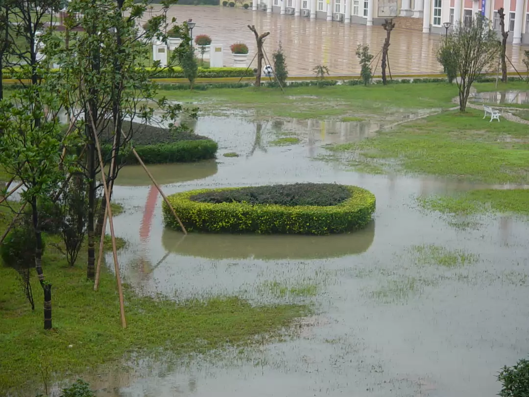 Rain_Sep_2003-005