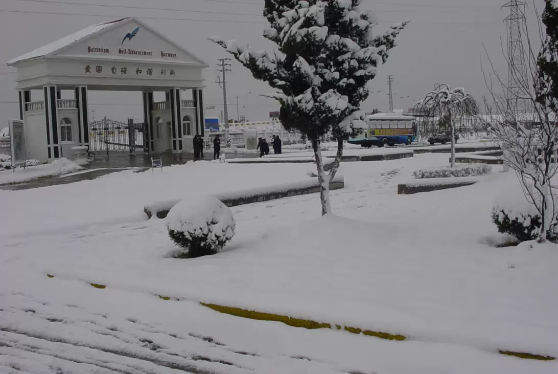 Snow_Feb_2003-002