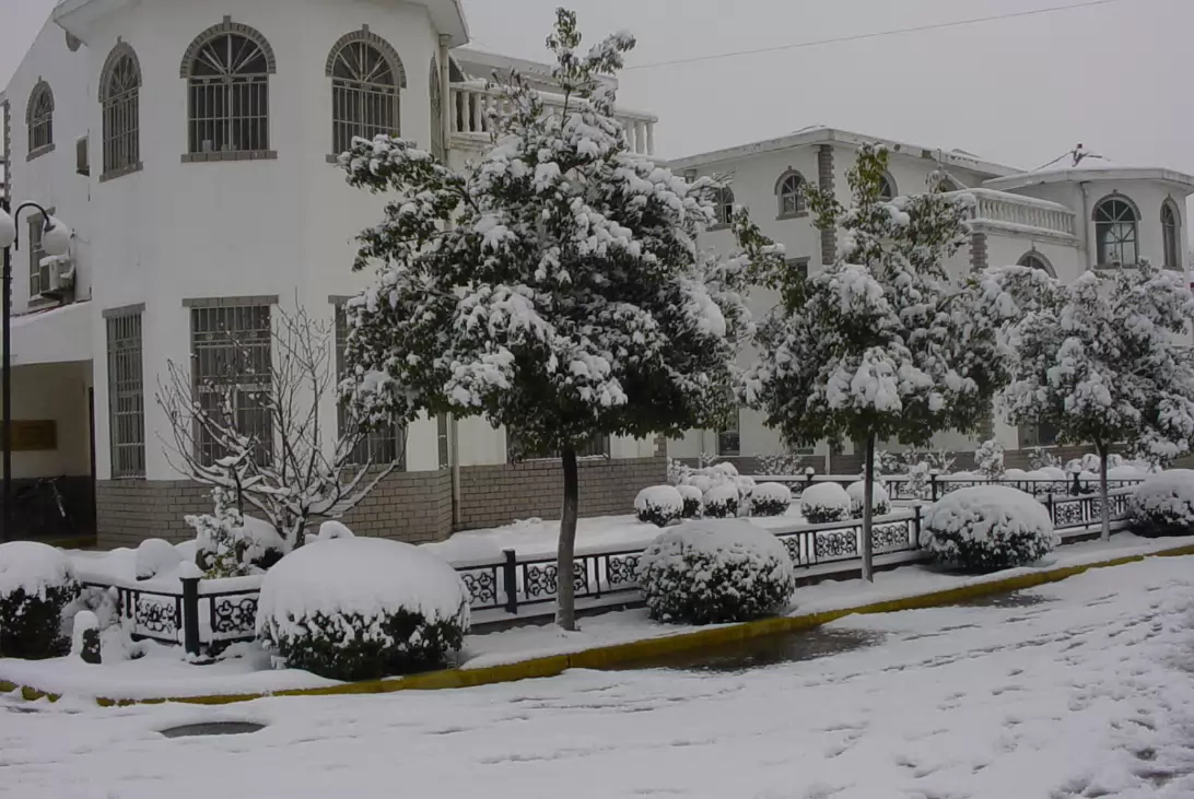 Snow_Feb_2003-003