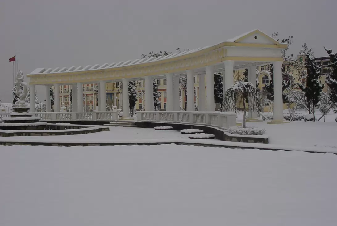 Snow_Feb_2003-004