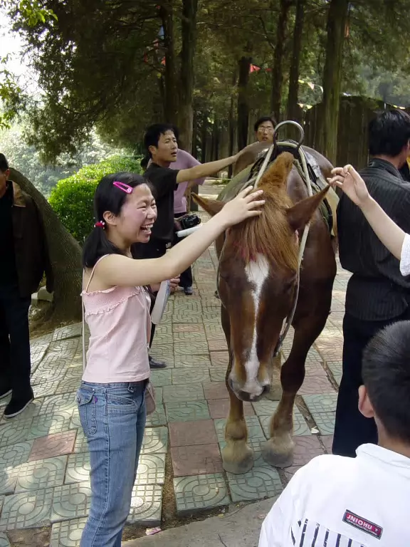 Zoo-002