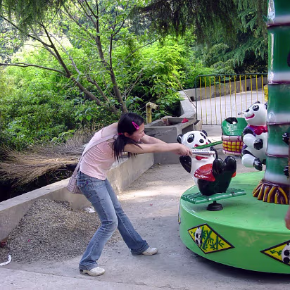 Zoo-008 Hanhan fighting for bamboo!