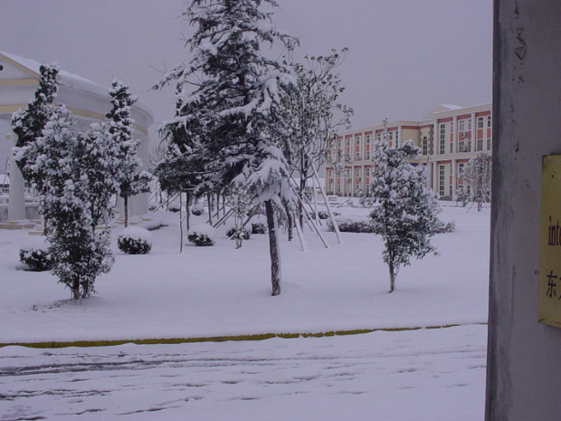 Snow 2003 It doesn't snow often in Nanjing, so we all took advantage of a heavy, wet snowfall to play a bit.