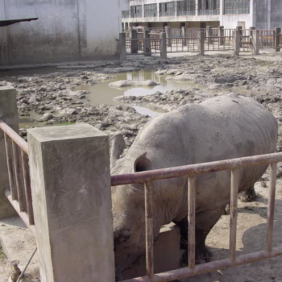 Shanghai_Sep_2003-003 Shanghai Wildlife Park