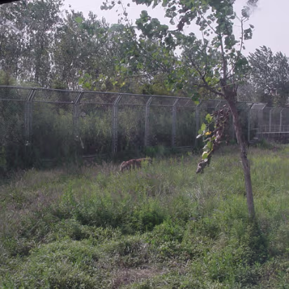 Shanghai_Sep_2003-010 Shanghai Wildlife Park