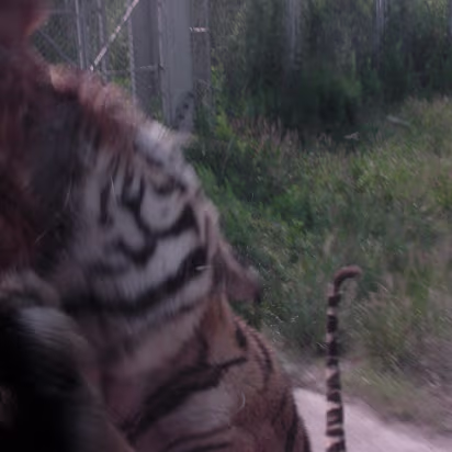 Shanghai_Sep_2003-011 Shanghai Wildlife Park