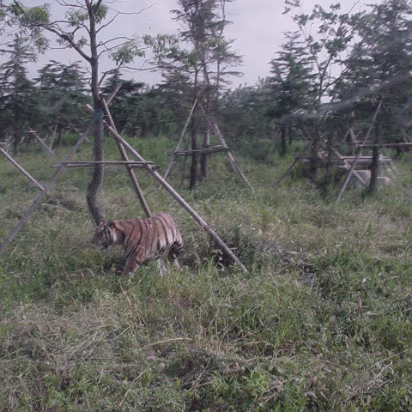 Shanghai_Sep_2003-013 Shanghai Wildlife Park