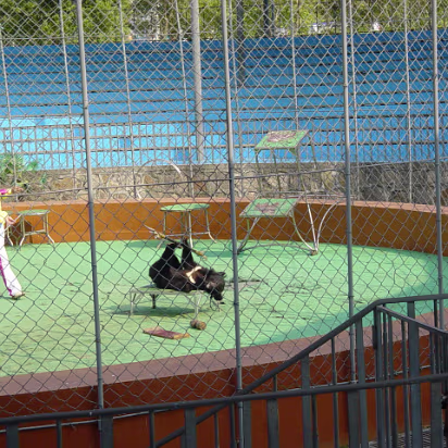 Shanghai_Sep_2003-015 Shanghai Wildlife Park