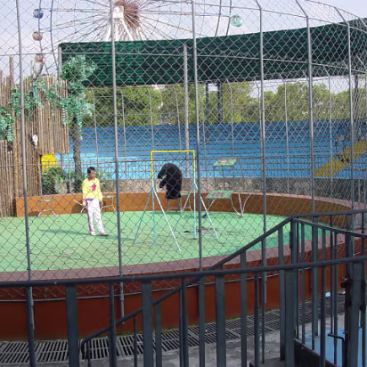 Shanghai_Sep_2003-017 Shanghai Wildlife Park