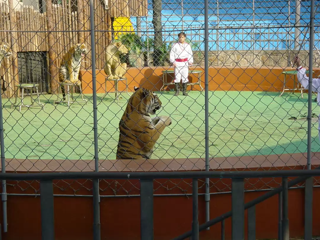 Shanghai_Sep_2003-026