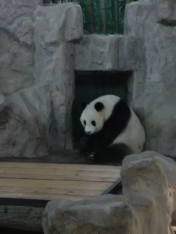 Shanghai_Sep_2003-051