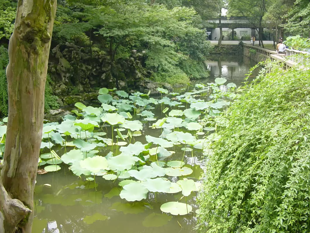Suzhou-08