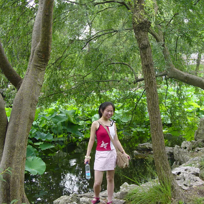 Suzhou-14 Another lotus pool with bent trees.