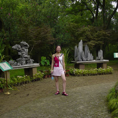 Suzhou-15 Stones from Tai Lake.