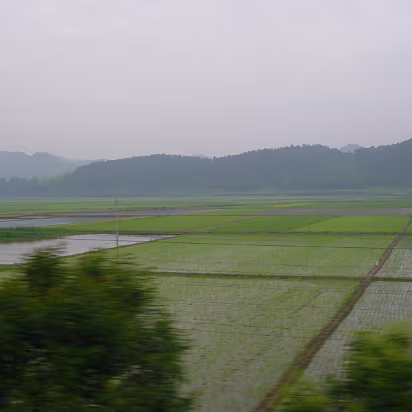 Yellow-Mountain-01 Yellow Mountain 2003