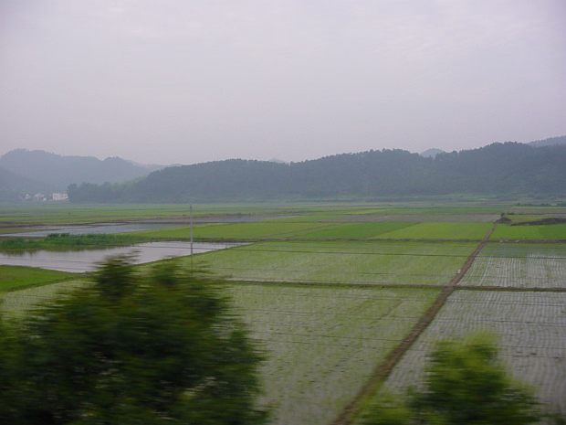 Yellow Mountain 2003 Yellow Mountain is one of the most famous and most visited scenic spots in China. I went for a visit in 2003.