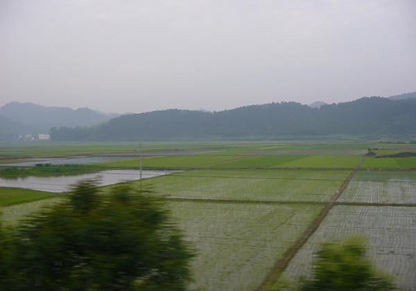 Yellow Mountain 2003 Yellow Mountain 2003 Yellow Mountain is one of the most famous and most visited scenic spots in China. I went for a...