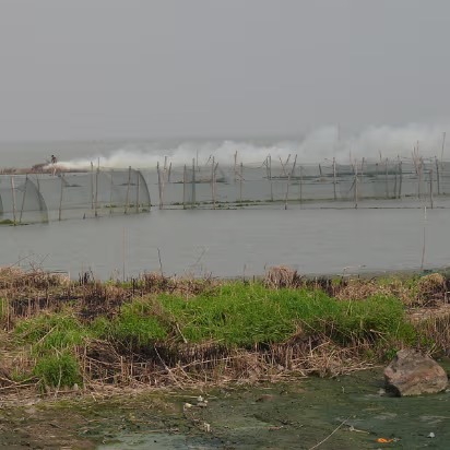Boat-Buying-14 People were burning off the brush and the wind was about 30 MPH.