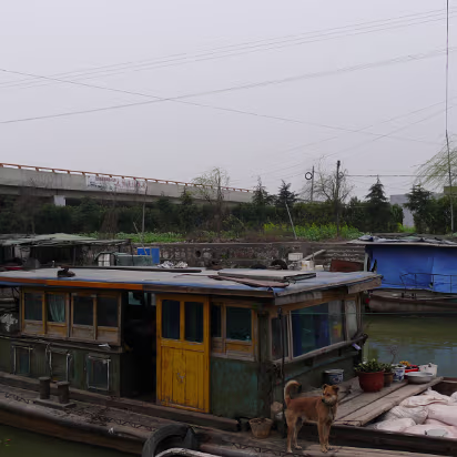 Boat-Buying-19 A working junk on a canal. We're going to board her.