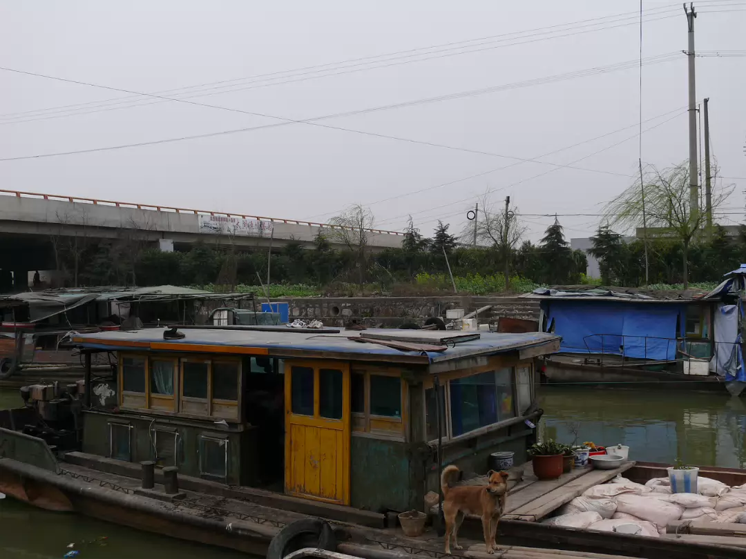 Boat-Buying-19