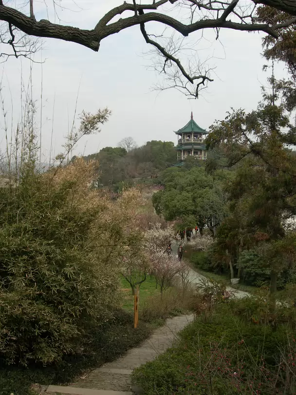 Mei-Yuan-17