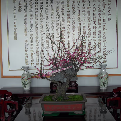 Mei-Yuan-20 The plaque is the owner's book preface.