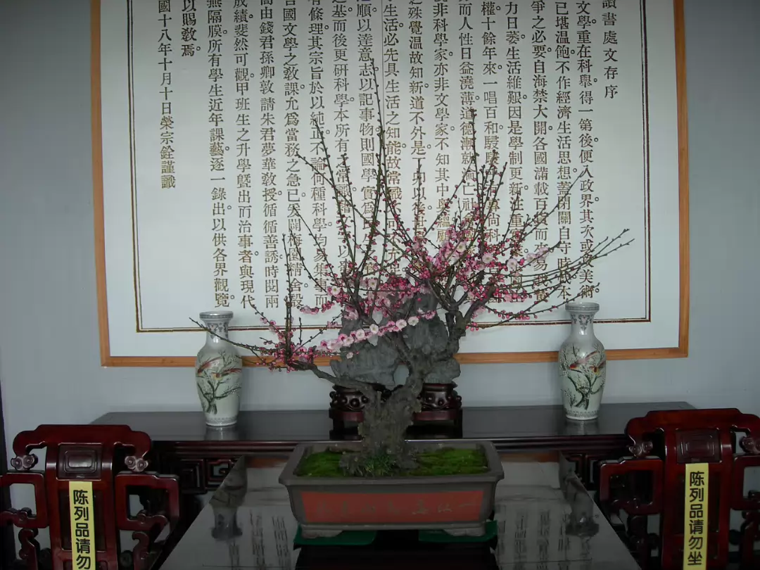 Mei-Yuan-20