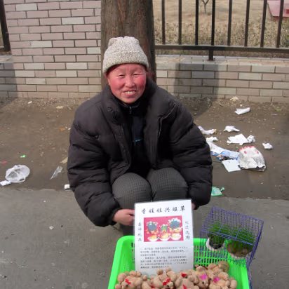 Misc-14 A woman in our village selling Chinese chia pets. We bought several!