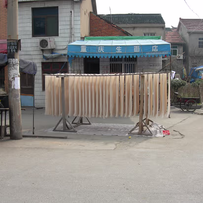 Misc-15 Noodles hanging out to dry. Later they will be cooked and sold at this cafe.
