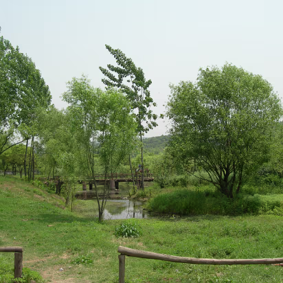 Movie-Set-15 A riding area. No jousting though. Pity.