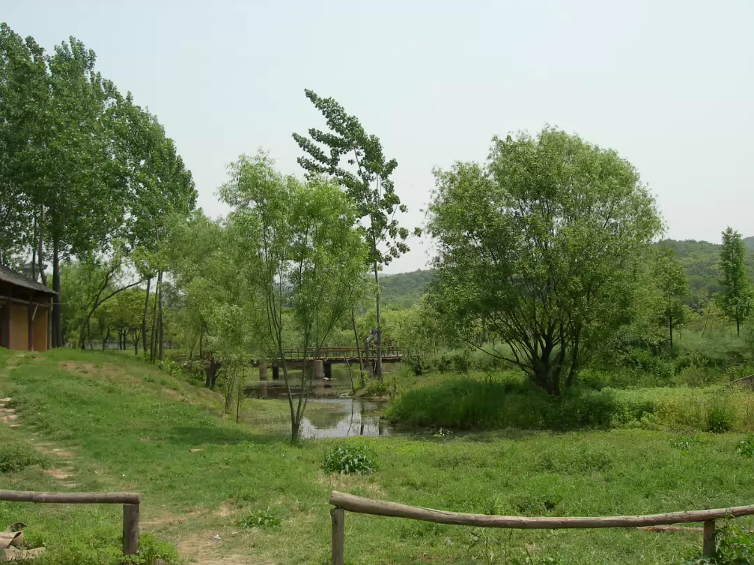 Movie-Set-15