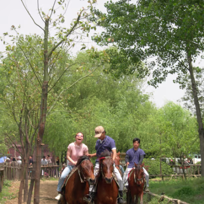 Movie-Set-17 Ride 'em Hanhan!