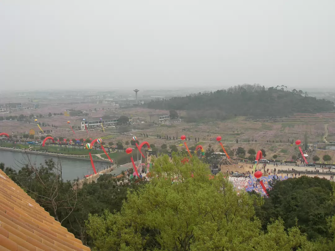 Peach-Festival-04