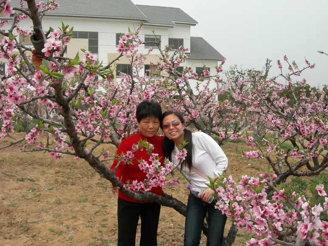 Peach-Festival-19